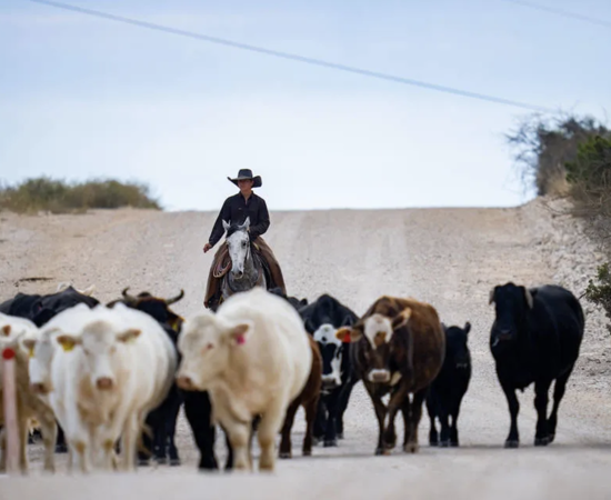 Screenshot 2025-05-31 at 12.16.06 AM.png